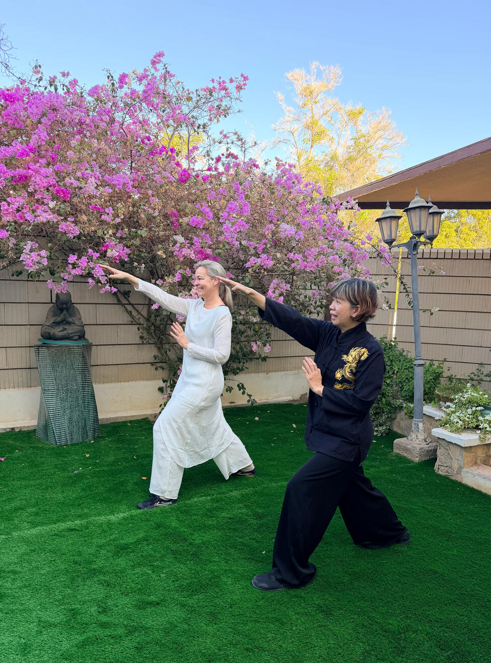 Private Taijiquan Class